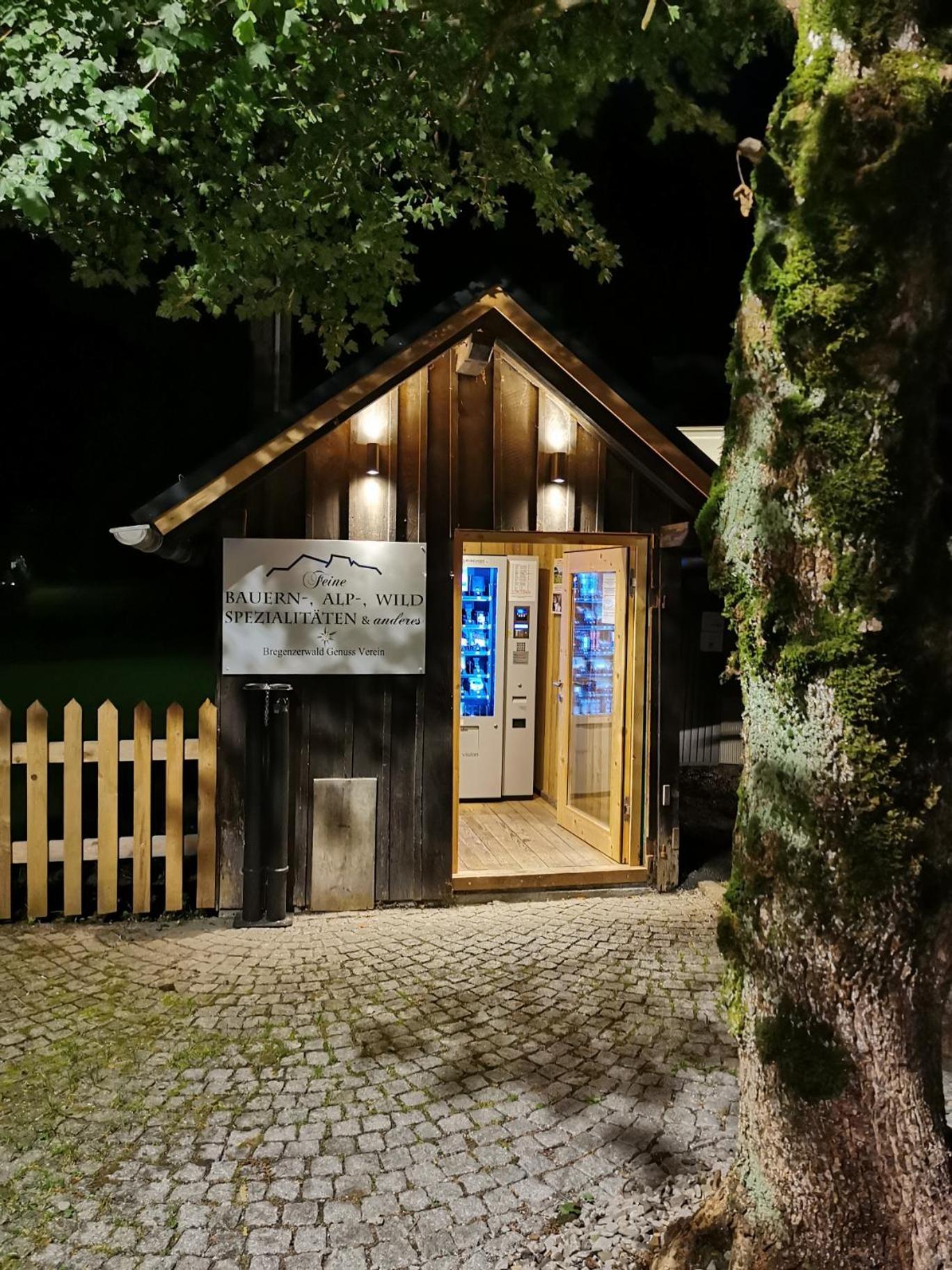 Alps Romantik Mellau Exterior foto